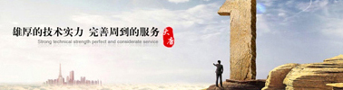 企業實力